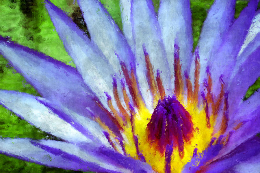 Lily Digital Art - Its a Lily by Kim Groseclose