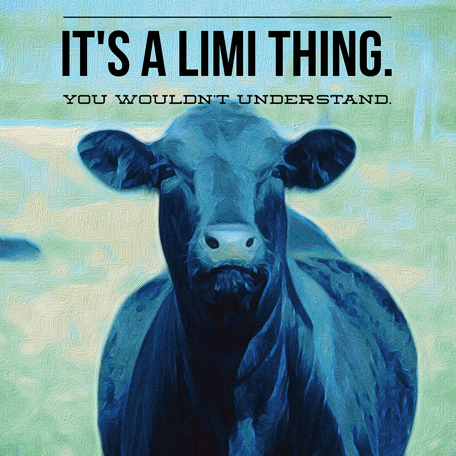 Its A Limi Thing Limousine Cattle Painting
