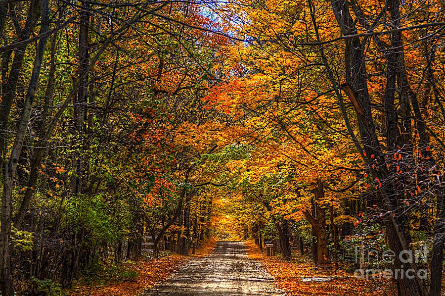 Fall Photograph - Its a MICHIGAN Fall by Robert Pearson