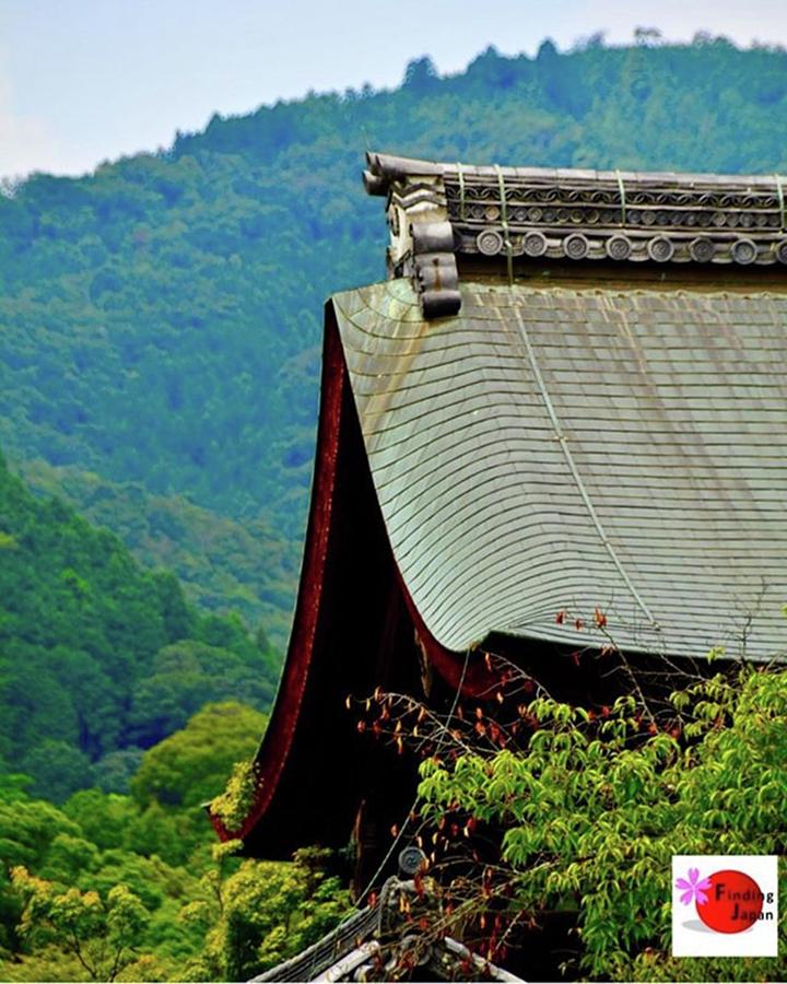 Kyoto Photograph - Its A Old Temple In Kyoto Arashiyama by Tanaka Yuki