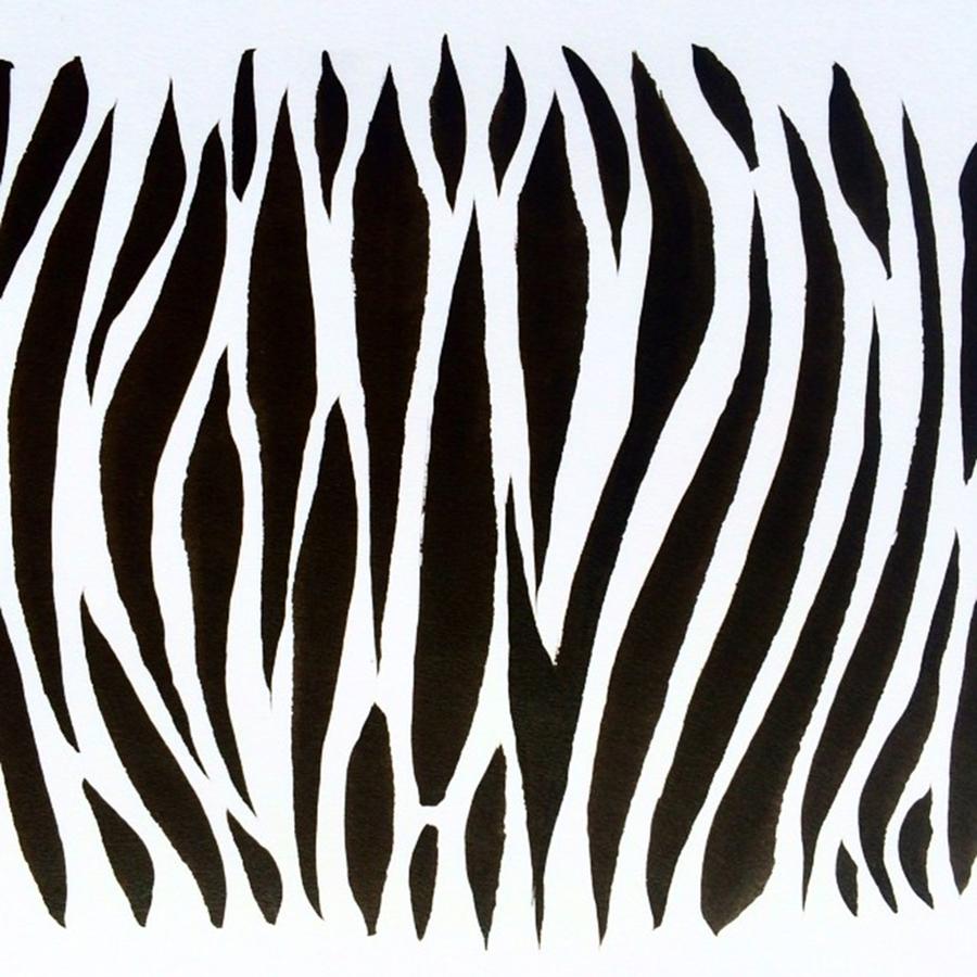Brush Photograph - Its A Zebra Striped Day!  #zebra by Crystaleyezed Fine Arts