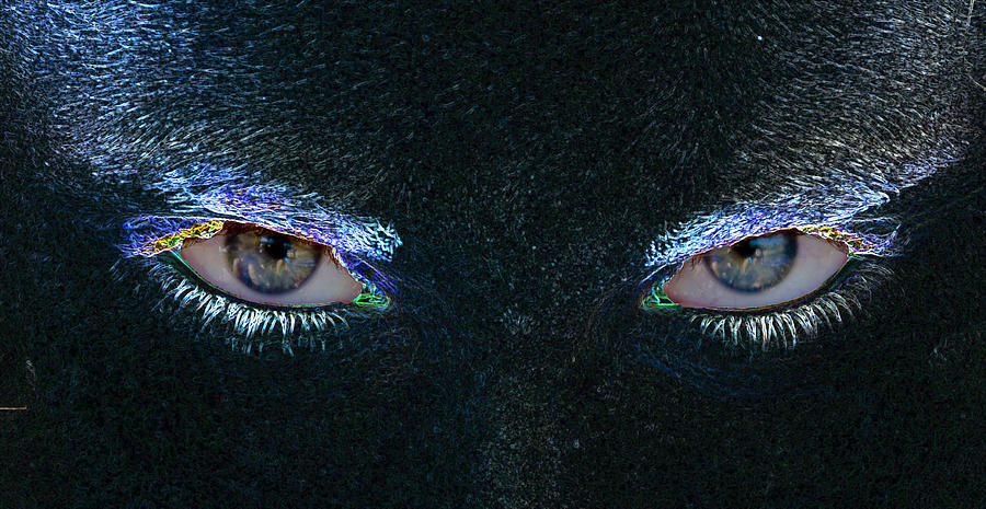 Its All In The Eyes Photograph by Terry Anderson