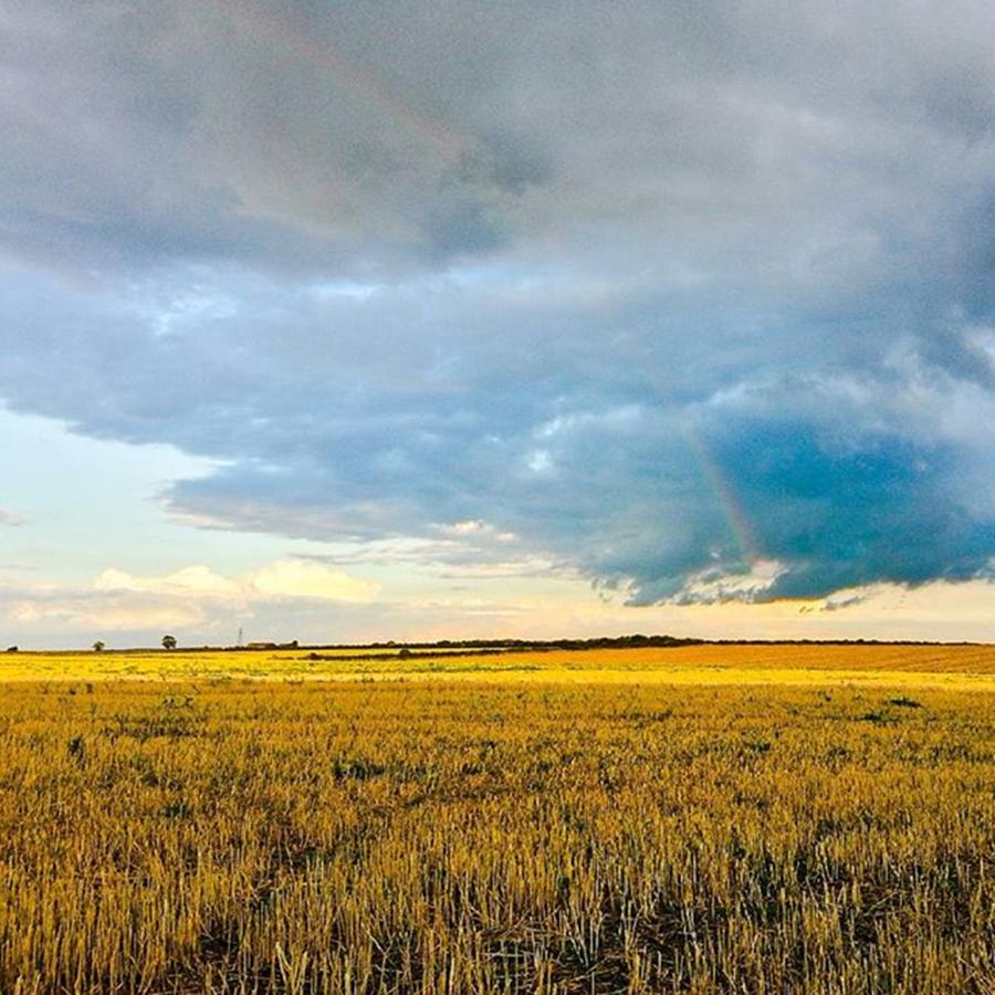 It's Been A #rainbow Kind Of A Day :) Photograph by Vicki Field - Fine ...