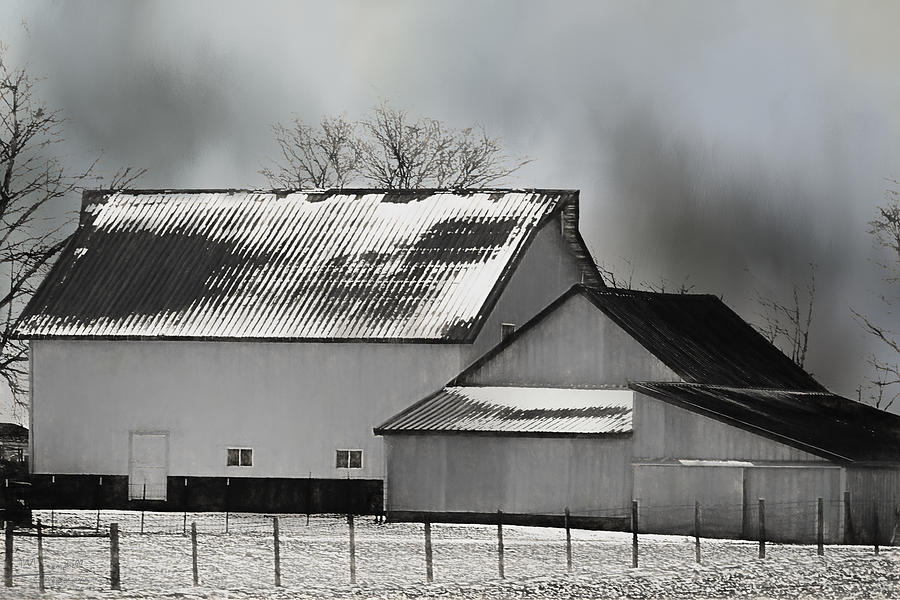 Barn Photograph - Its Cold Out There by Theresa Campbell