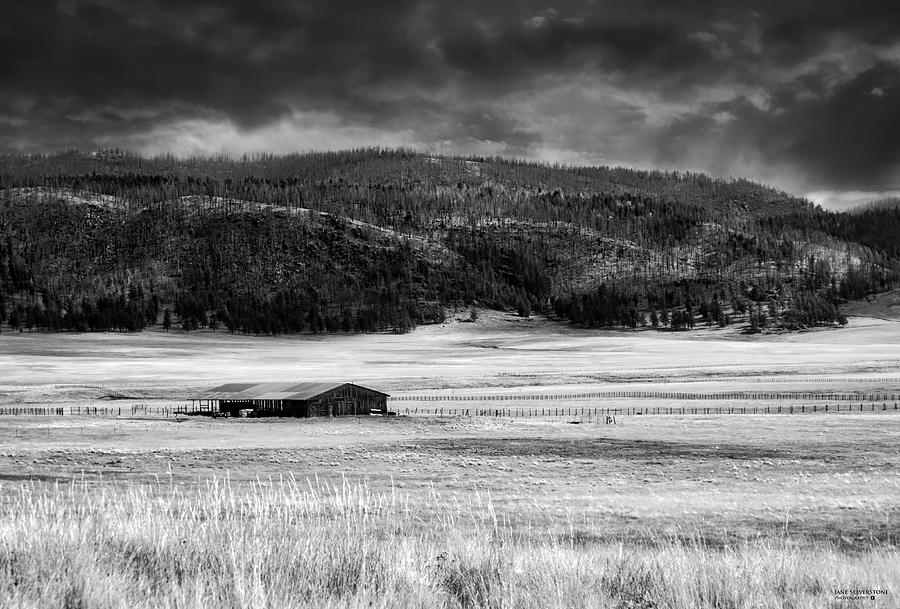 Black And White Photograph - Its Lonely in the Caldera by Jane Selverstone