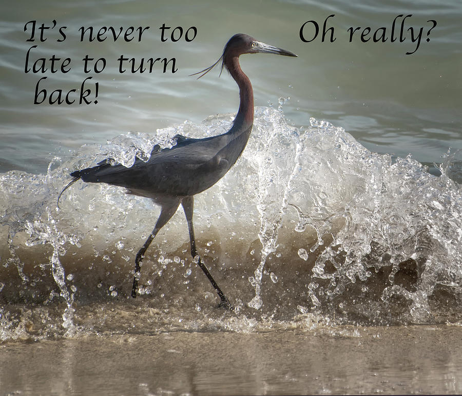 Its Never Too Late To Turn Back Photograph by Gary Slawsky
