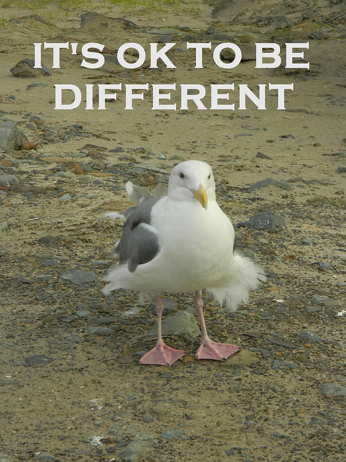Its Ok To Be Different Photograph by Gallery Of Hope 