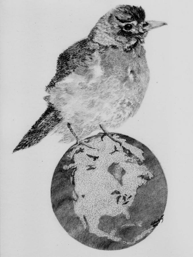 Robin Drawing - Its Our World Too by Wendy Brunell