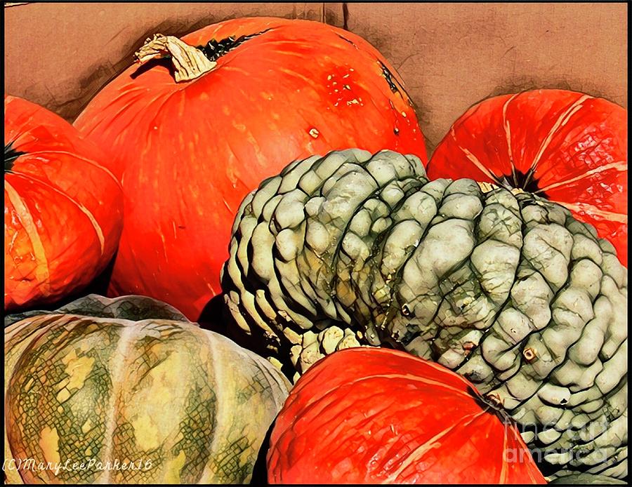 Its Pumpkin  season Photograph by MaryLee Parker