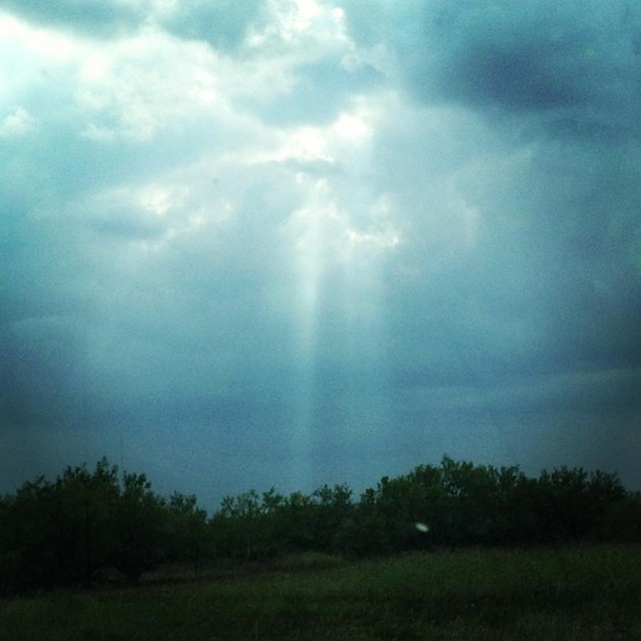 Its Raining Sunshine! Photograph by Brittany Weigang