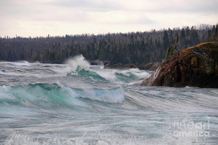 Its Rough Out There Photograph by Sandra Updyke