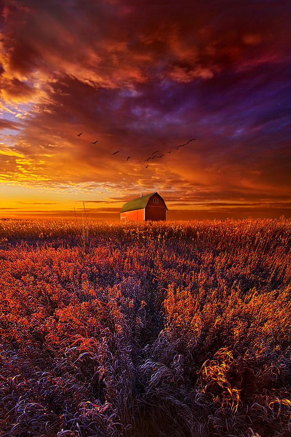 Fall Photograph - Its the Fire and the Wings that Fly Us Home by Phil Koch