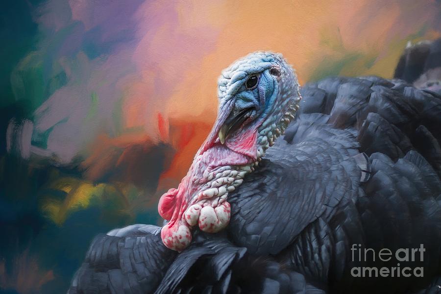 Its Turkey Time Photograph by Eva Lechner