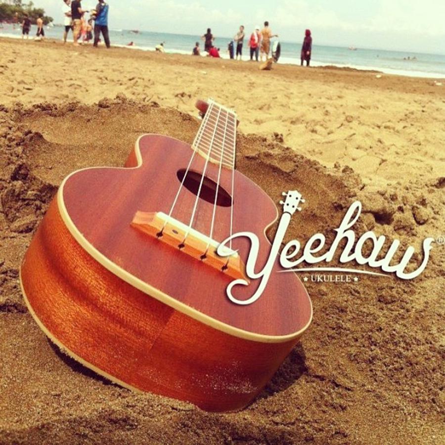 Music Photograph - Its Yeehaw Ukulele #yeehaw #uke by Dadi Setiadi