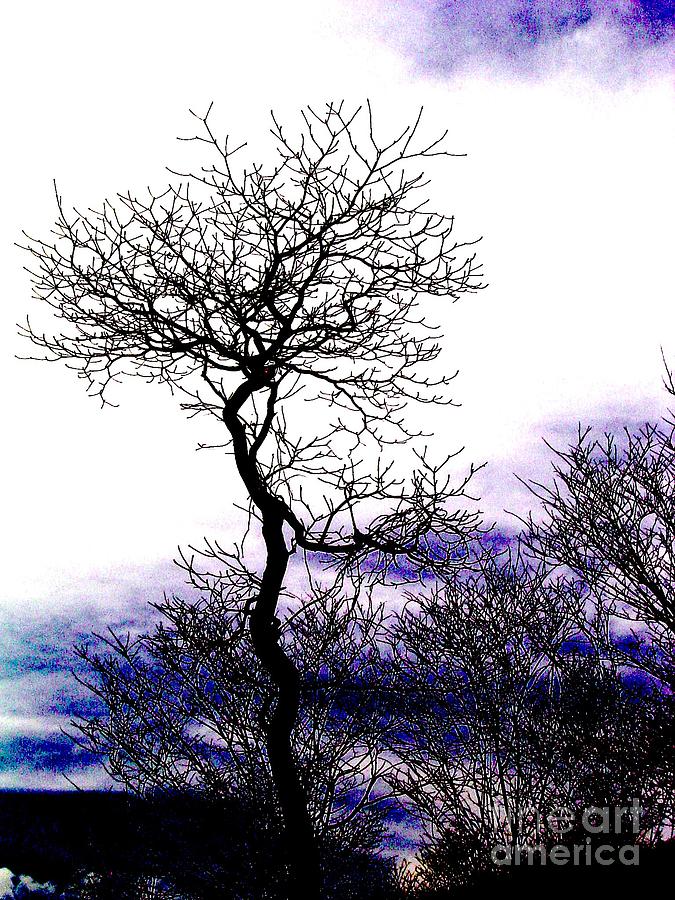 I2 Photograph - Itsmo2 by X Scherenberg I2 Photograph - Itsmo2 by X Scherenberg