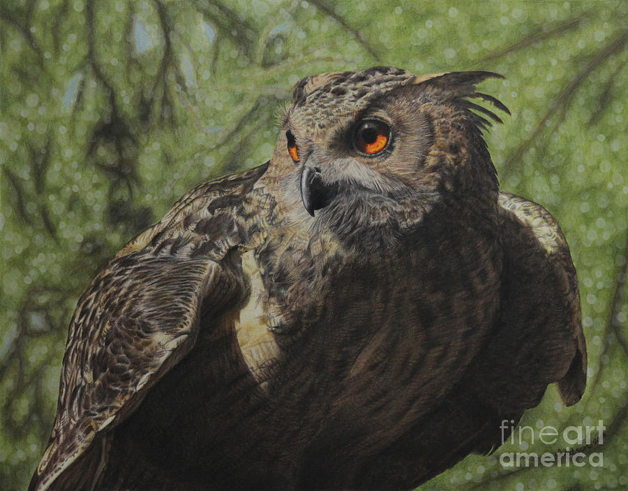 Owl Painting - Ivan by Jennifer Watson