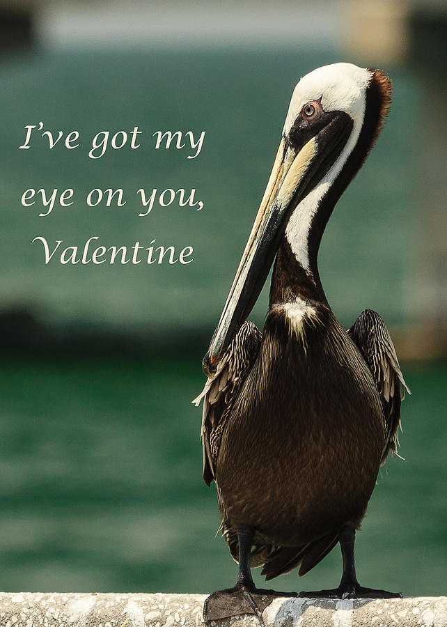 Ive got my eye on you Valentine Photograph by Joni Eskridge