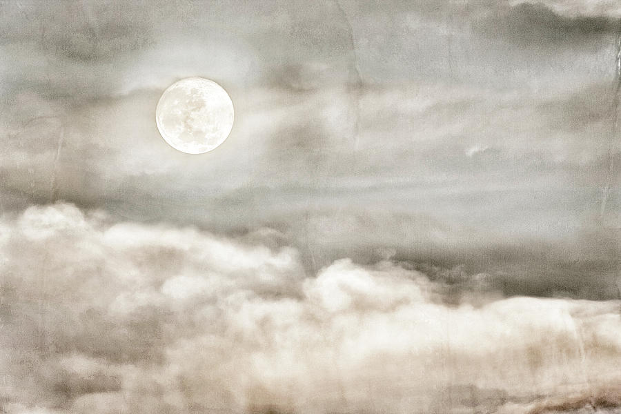 Ivory Moon Photograph by Dianna Lynn Walker