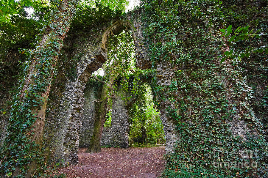 Travel Photograph - Ivy clad ruin by Louise Heusinkveld