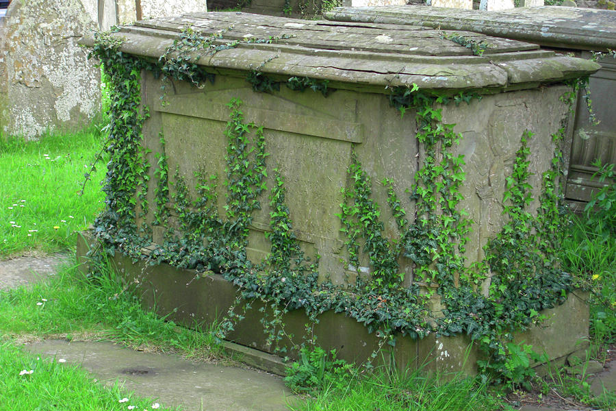 Ivy-Covered Chest Tomb Photograph by Deborah Smolinske