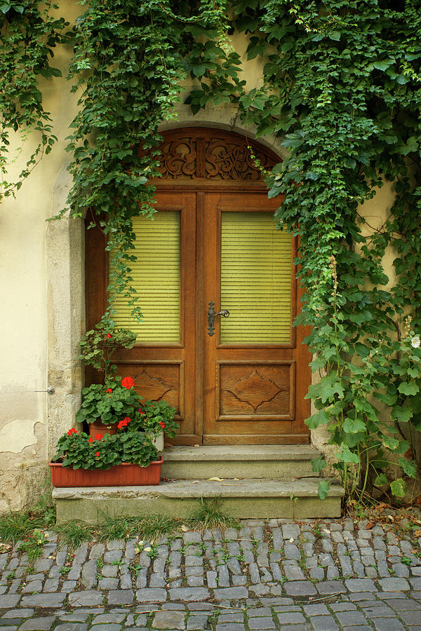 Ivy Covered Door Photograph by Rebekah Zivicki