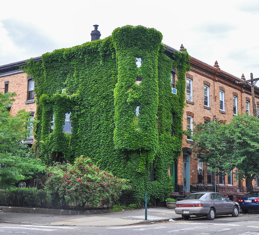 Philadelphia Photograph - Ivy Covered House in Fairmount by Bill Cannon