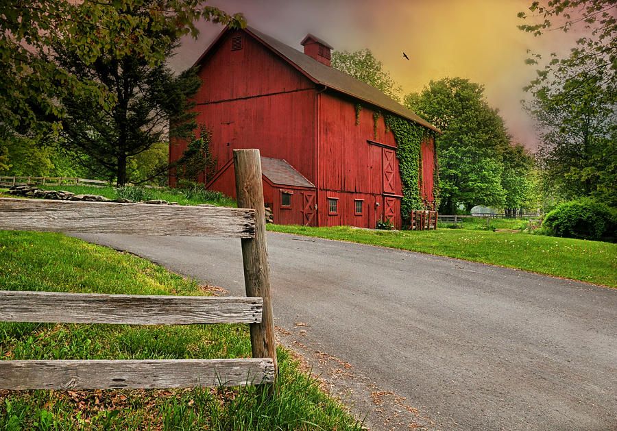 Ivy Barn Photograph by Diana Angstadt