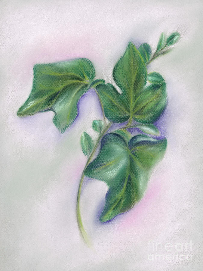 Ivy Leaves and Boxwood Sprig Painting by MM Anderson