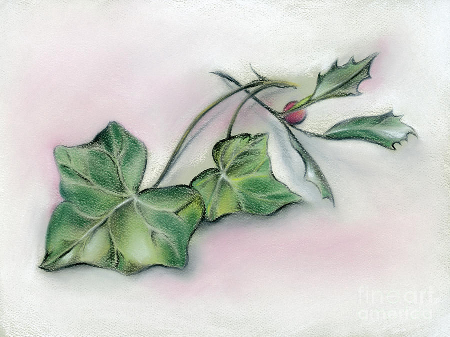 Ivy Leaves and Holly Pastel by MM Anderson