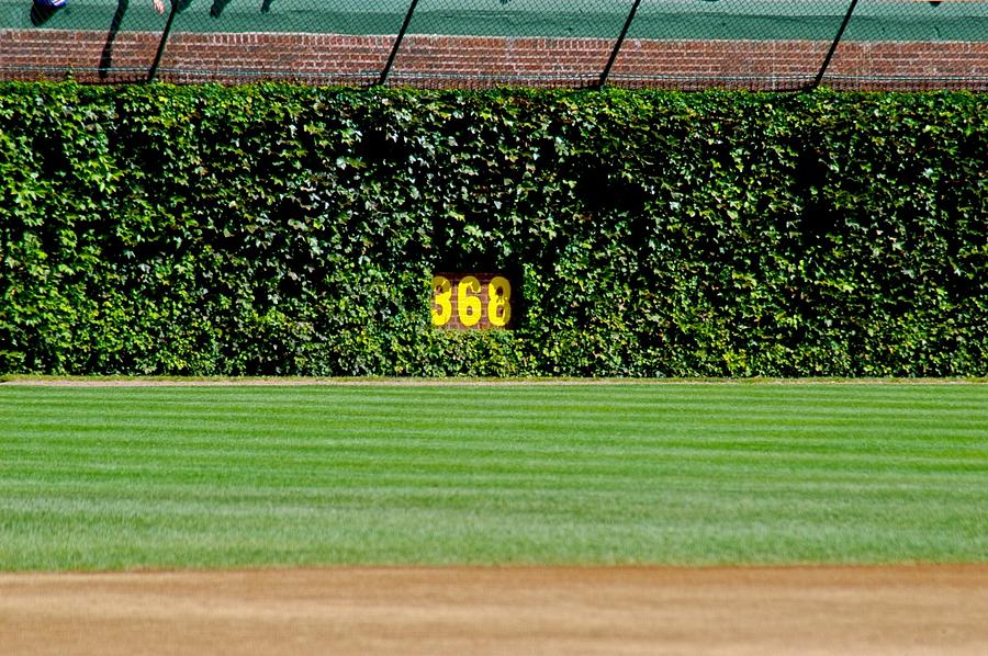 Ivy Outfield-Wrigley Field-Chicago Photograph by Dale Chapel - Pixels
