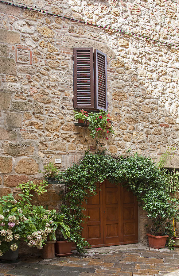 Ivy Over Door Photograph by Sally Weigand