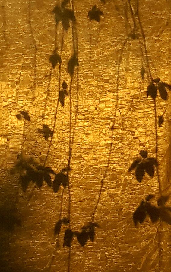 Curtain Photograph - Ivy shadows by Susan and Amber Hartman