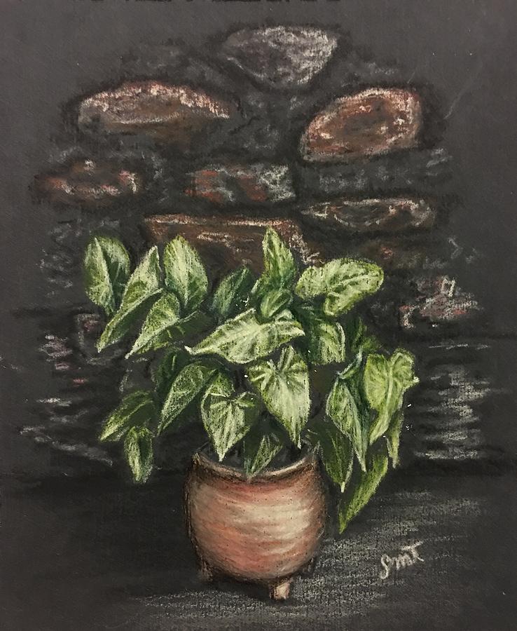 Ivy Drawing by Sheila Tysdal
