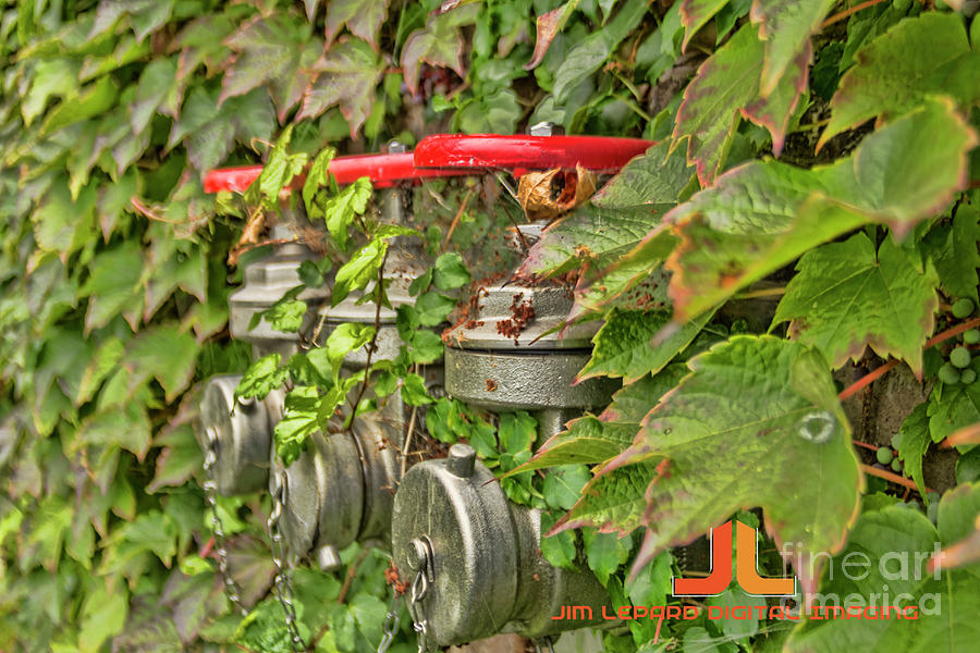 Ivy standpipe Photograph by Jim Lepard