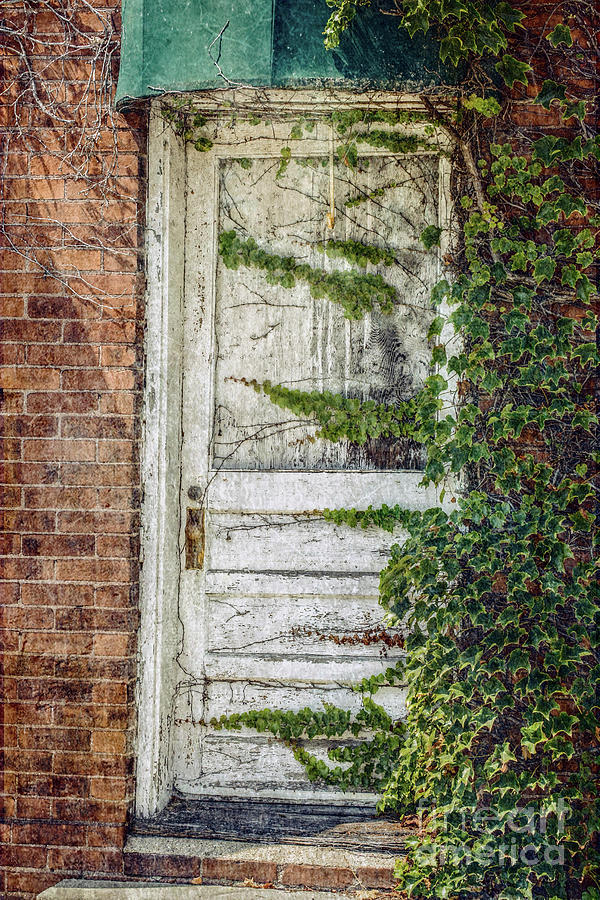 Ivy Trails Distressed Door Photograph