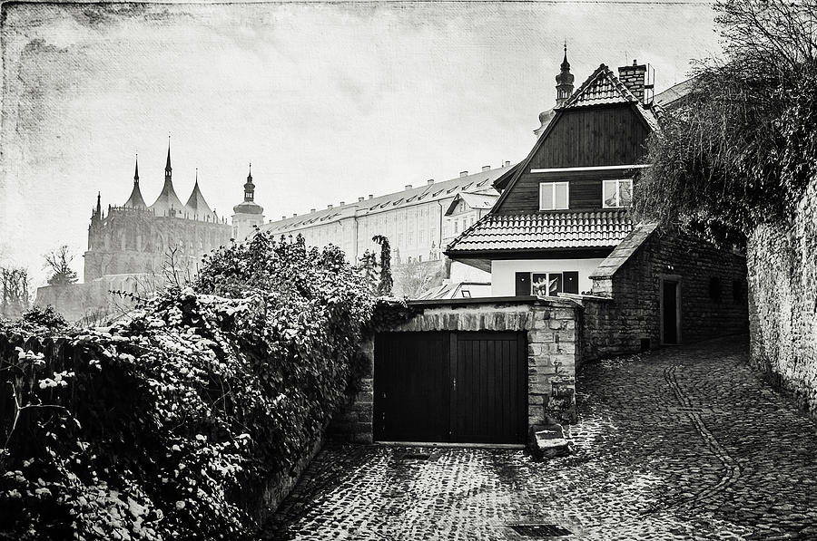 Ivy Wall in Old Town of Kutna Hora. Black and White Photograph by Jenny Rainbow