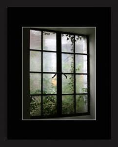 Cottage Photograph - Ivy Window 2 by Brooke Chao