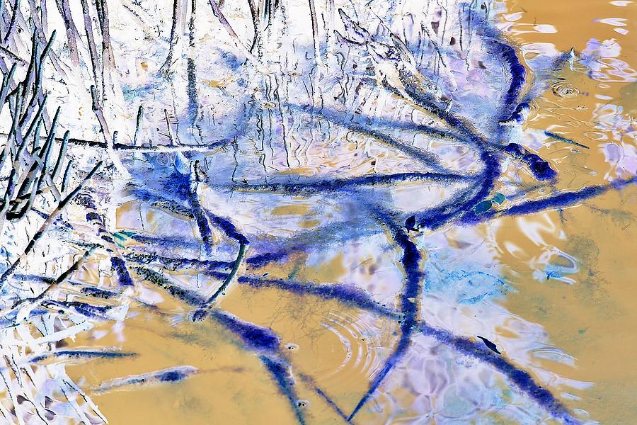 Blue Mangrove I.C. Digital Art by John Hintz