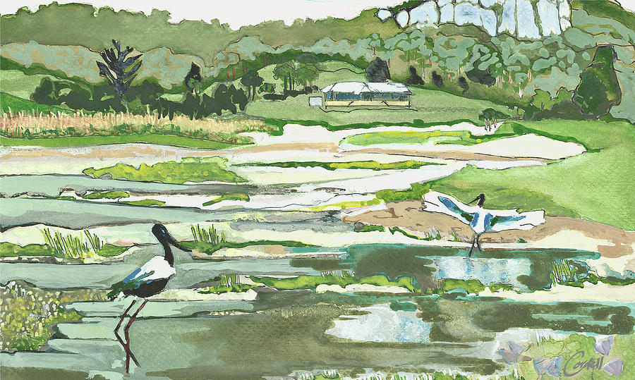 Jabirus on Lake Macdonald Painting by Joan Cordell