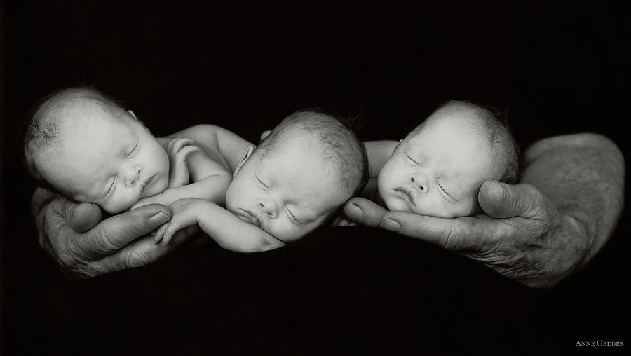 Black And White Photograph - Jack and the Triplets by Anne Geddes