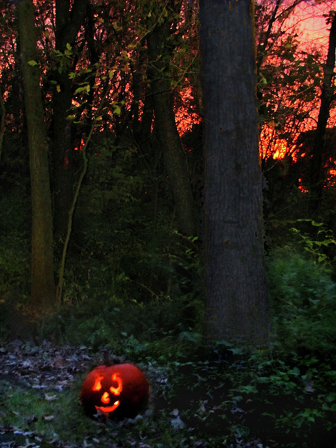 Jack O Lantern In The Forest Mixed Media