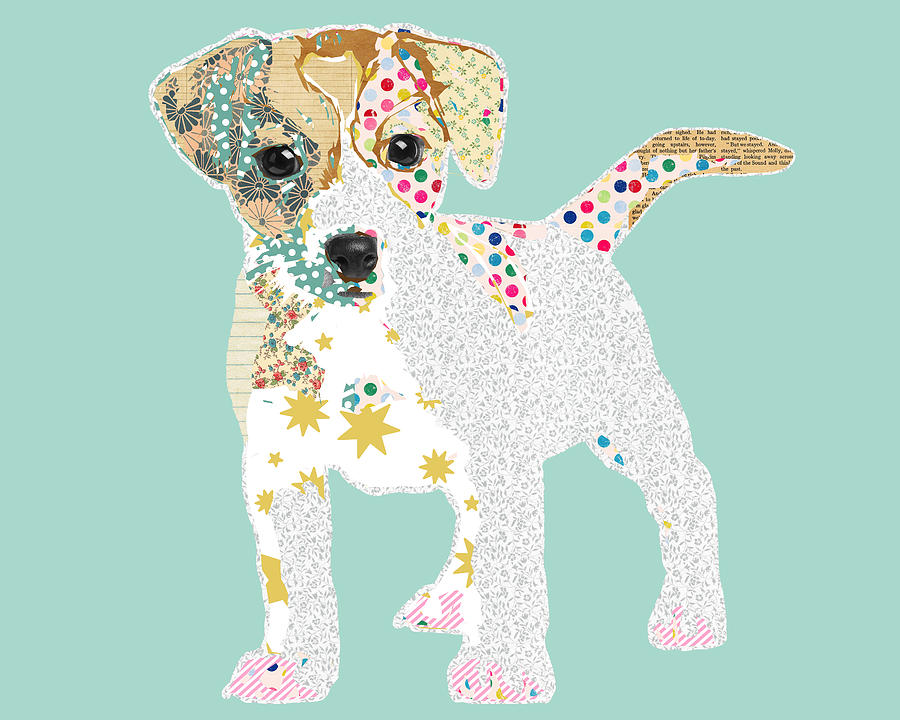 Jack Russell Mixed Media by Claudia Schoen