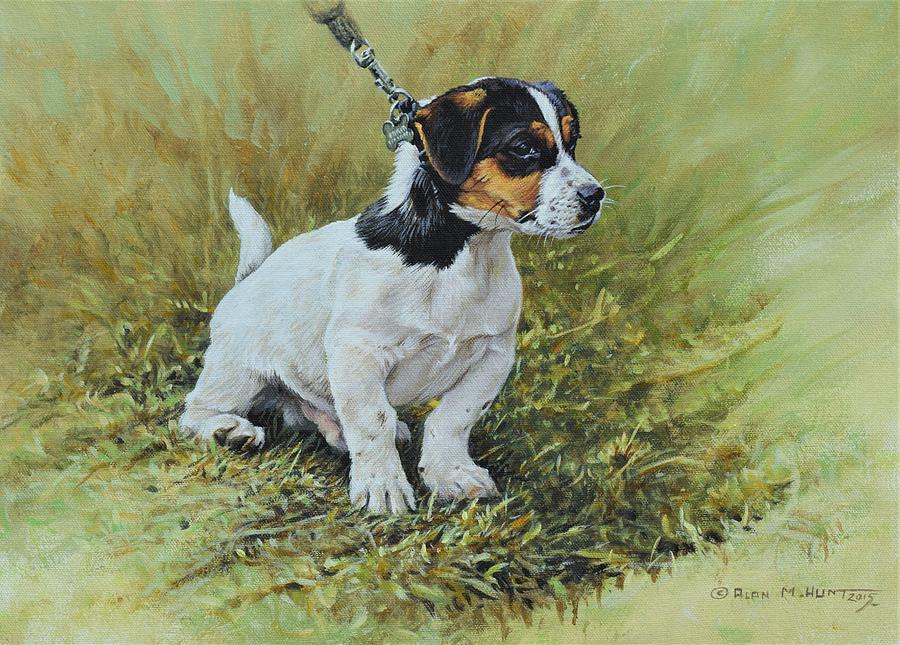 Jack Russell Portrait Painting by Alan M Hunt