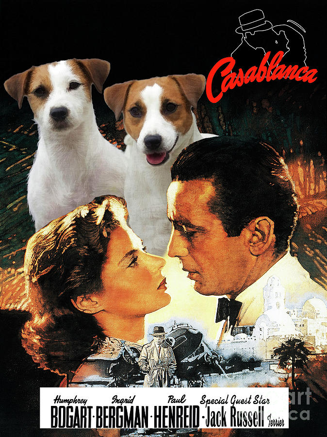 Jack Russell Terrier Art Canvas Print - Casablanca Movie Poster Painting by Sandra Sij
