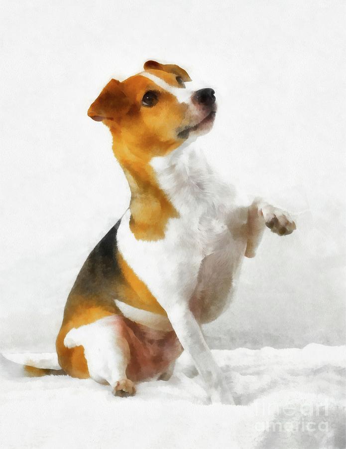 Jack Russell Terrier Painting by 