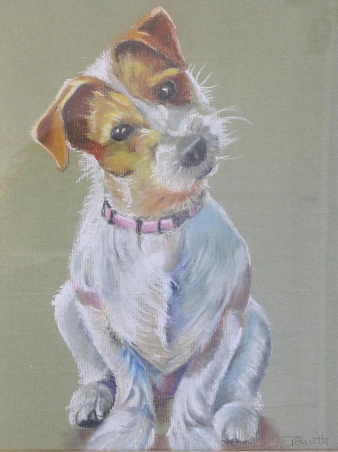 Jack Russell watching you Pastel by Teresa Smith