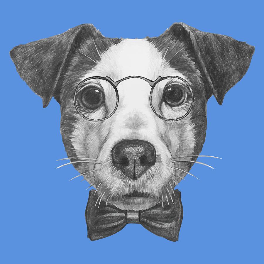 Jack Russell with glasses and bow tie by Marco Sousa