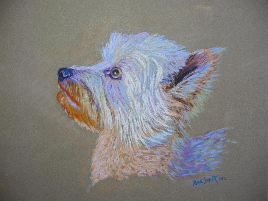Jack says  can I Pastel by Rae  Smith