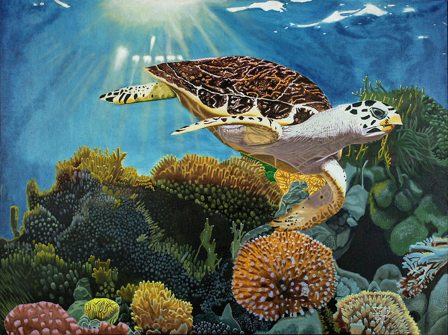 Jack the Sea Turtle Painting by Corey Smith - Fine Art America