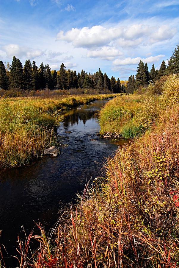 Jackfish Creek in Autumn Photograph by Larry Ricker